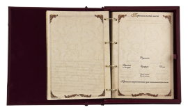 Родословная книга в картонной коробке (экокожа) арт. РК-24 (эк) - STR 13b0.jpg