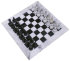 Шахматы - IMGP5715 copy9v.jpg