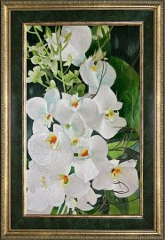 белая орхидея - 1-m57.jpg