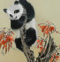 панда на дереве - PK7B1852mm.jpg