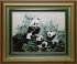 панды в бамбуковой роще - панд в бамбуковой роще-m.jpg