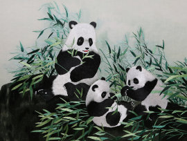 панды в бамбуковой роще - PK7B3984-m.jpg