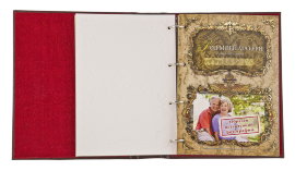 Родословная книга "Золоченое древо" в картонной коробке арт. РК-74 - RK 74 8.jpg