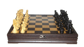 Шахматы - CIMG5833.JPG