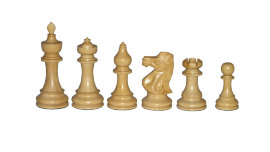 Шахматы - CIMG5843.JPG