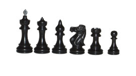 Шахматы - CIMG5845.JPG