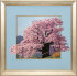 цветущая сакура (с подрисовкой) - PK7B3861-m.jpg