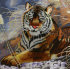тигр в камышах - PK7B1716-mm.jpg