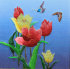 бабочки над тюльпанами - IMG_9835-m.jpg