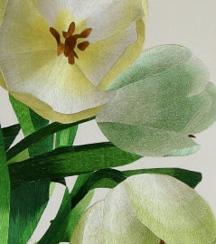 предчувствие весны! (белые тюльпаны) - PK7B1725mm.jpg