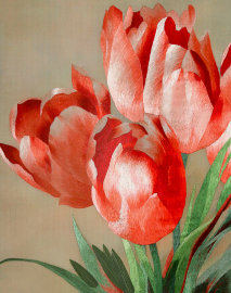 тюльпаны Мерилин - PK7B8793-m.jpg