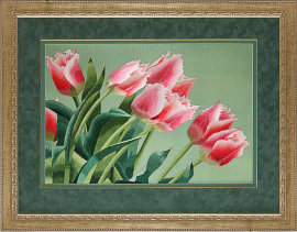 тюльпаны "Утренняя нежность" - PK7B1500-m.jpg