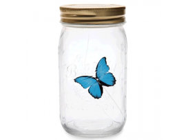 Бабочка в банке: голубая морфа - bab-b-0.jpg