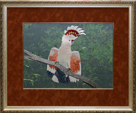попугай «Какаду Инка» - PK7B1824-m.jpg