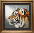 голова молодого тигра - PK7B3907-m.jpg
