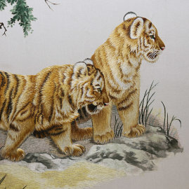 два тигрёнка - PK7B8921-m.jpg