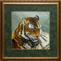 тигр на  зеленом фоне