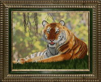 тигр на траве