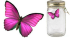 Бабочка в банке: розовая морфа - 2012-03-03_003344.png