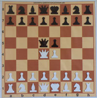 Школьная шахматная демонстрационная доска - 219q.jpg