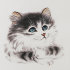 голубоглазый котёнок - PK7B9021-m.jpg