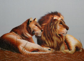 лев и львица в степи - PK7B1483-m.jpg