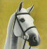 Авторская картина на коже.Голова лошади - 2012_loshodka-30.jpg