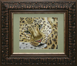 леопард  - PK7B0560-m.jpg